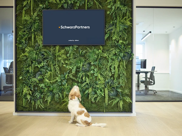 Ein Hund sitzt vor einer grünen, mit Pflanzen bewachsenen Wand in einem modernen Büro und schaut auf einen Bildschirm, der das Logo "SchwarzPartners" zeigt.
