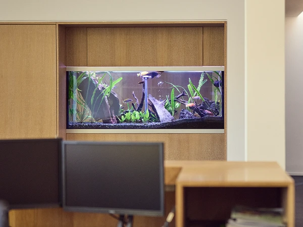 Ein modernes Büro mit Holzregalen und Computerarbeitsplätzen im Vordergrund. Im Hintergrund ist ein imposantes Aquarium zu sehen, das mit Pflanzen und Fischen dekoriert ist.