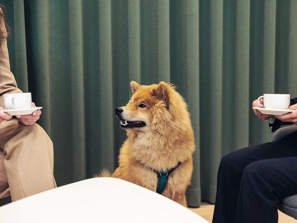 Ein Hund mit felligem, goldbraunem Fell sitzt zwischen zwei Personen, die Tassen in den Händen halten, während sie auf einem Stuhl sitzen. Im Hintergrund ist ein grüner Vorhang sichtbar.