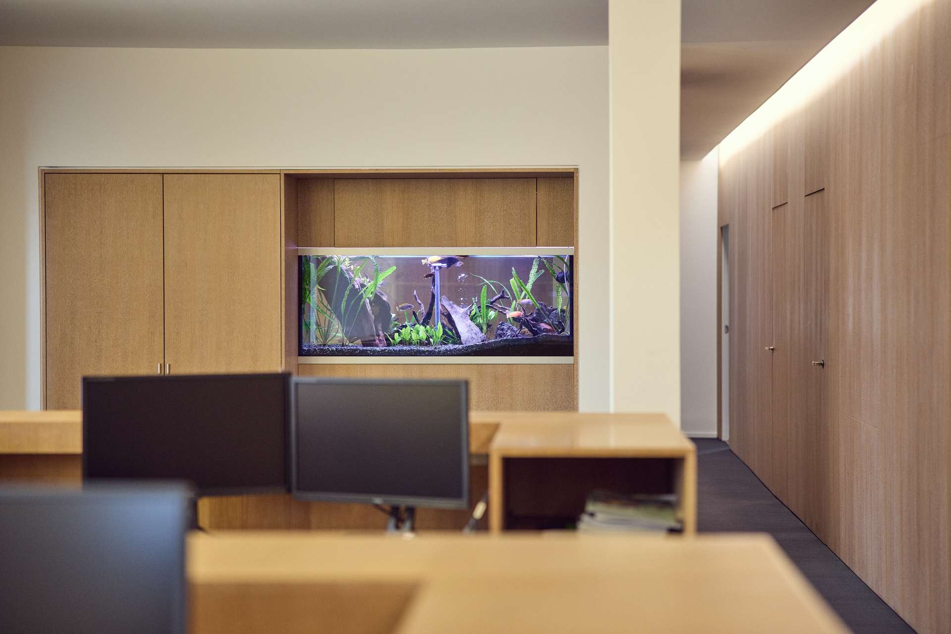 Ein modernes Büro mit Holzregalen und Computerarbeitsplätzen im Vordergrund. Im Hintergrund ist ein imposantes Aquarium zu sehen, das mit Pflanzen und Fischen dekoriert ist.